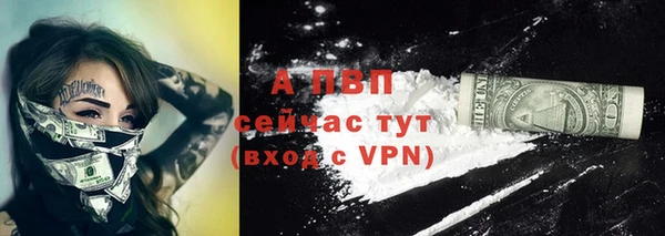 ECSTASY Абаза