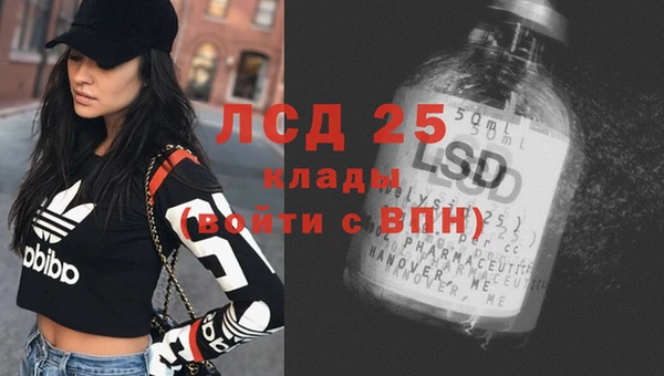 ГАЛЛЮЦИНОГЕННЫЕ ГРИБЫ Абдулино