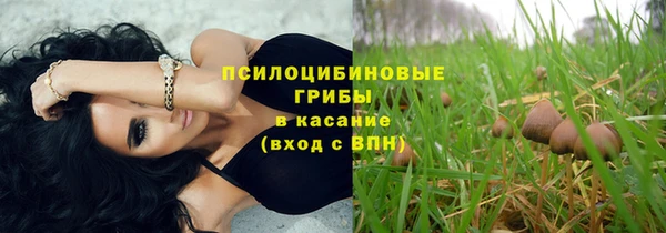 бошки Абинск
