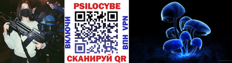 как найти наркотики  Ядрин  Псилоцибиновые грибы Psilocybine cubensis 