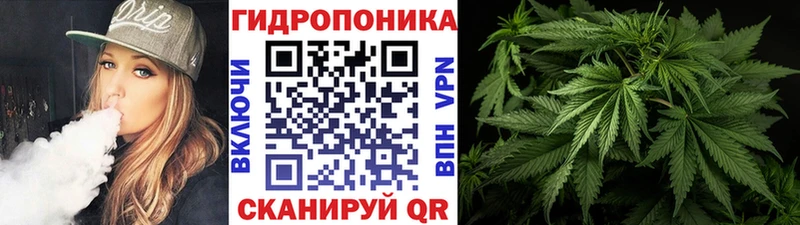 МАРИХУАНА ГИДРОПОН  Ядрин 